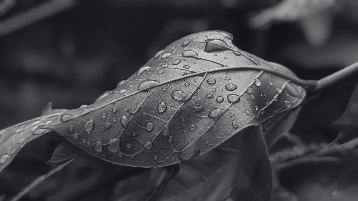 Norme VSME : Pourquoi et comment les PME doivent-elles s'en emparer ? (Analyse d'un cas réel)