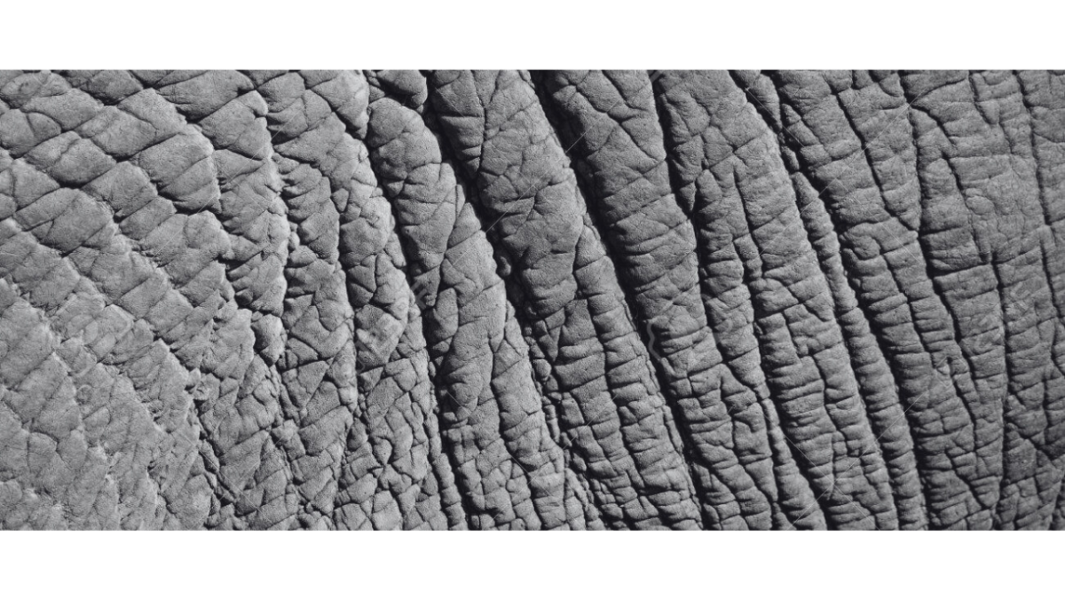 Comment structurer son reporting de durabilité sans se ruiner en logiciels complexes ?