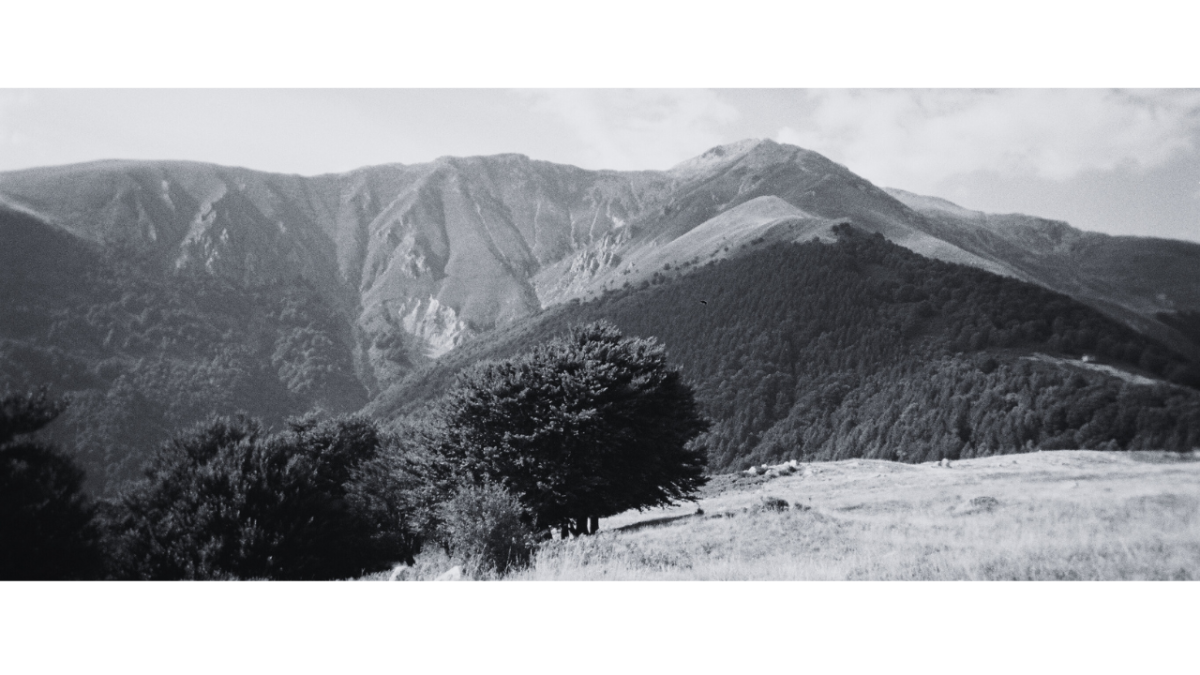 Le rapport RSE pour PME et ETI : un outil de pilotage stratégique, pas une simple formalité 